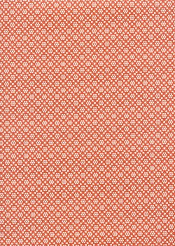 "Italica" rouge (50x70)