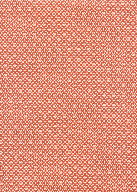 "Italica" rouge (50x70)