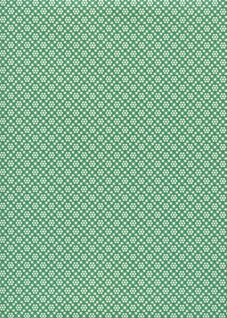"Italica" vert (50x70)