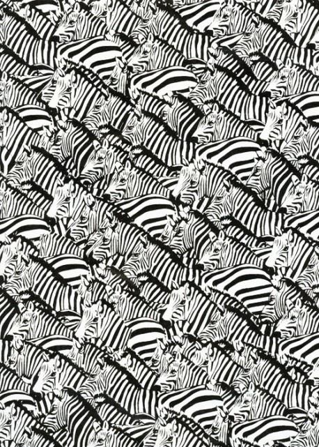 Les zebres (50x70)