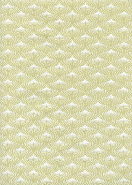 Ombrelle vert et blanc (50x70)