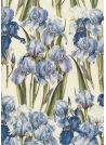 Iris (70x100)