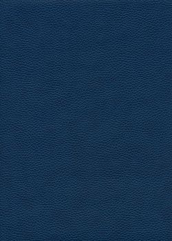 Simili cuir "Buffle grainé" bleu marine (70x100)