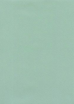 Véritable Edo Kosome vert d'eau (53x78)