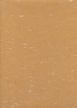 Véritable Tairei beige flammé blanc (54x79)