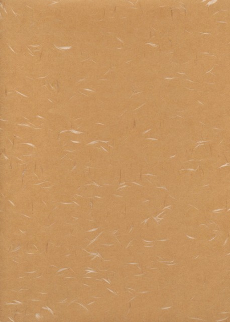 Véritable Tairei beige flammé blanc (54x79)