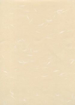 Véritable Tairei vanille flammé blanc (47x64)