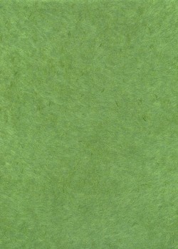 Véritable Obonai vert foret (78x54)