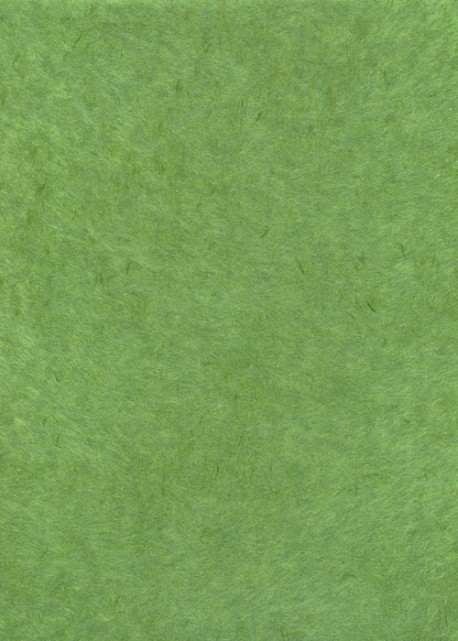 Véritable Obonai vert foret (78x54)