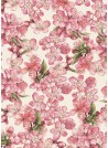 Fleurs de pêcher (70x100)