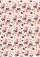 Anémones 2 tons rose (70x100)