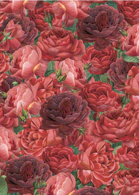 Pot pourri de roses rouge (70x100)