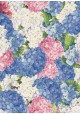 Hortensia rose/ bleu (70x100)