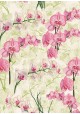 Orchidée rose (70x100)