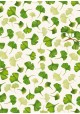 Les feuilles de Ginkgo biloba (70x100)