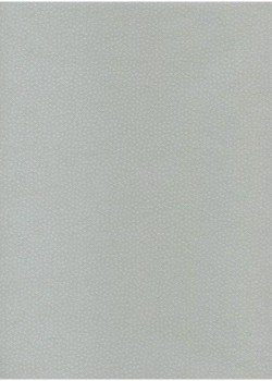 Véritable Edo Kosome gris (53x78)