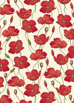 Coquelicot (70x100)