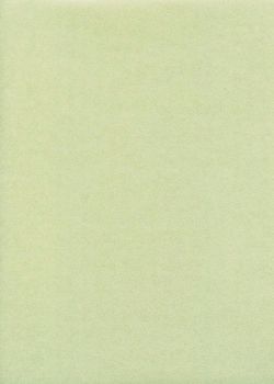 Papier japonais irisé-Gira pearl vert (55x80)