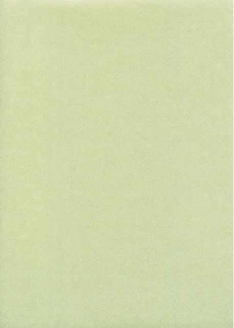 Papier japonais irisé-Gira pearl vert (55x80)