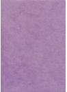 Papier lokta lilas (49x69)