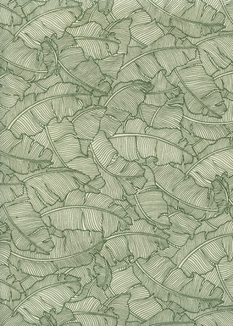 Feuilles de bananier ton vert (50x70)