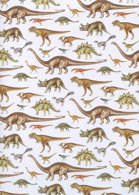 Planche de dinosaures (50x70)