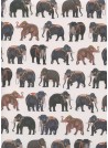 Le défilé d'éléphants (50x70)