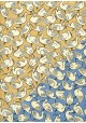 Recto verso "Les ibis fond jaune / les ibis fond bleu" (50x70)