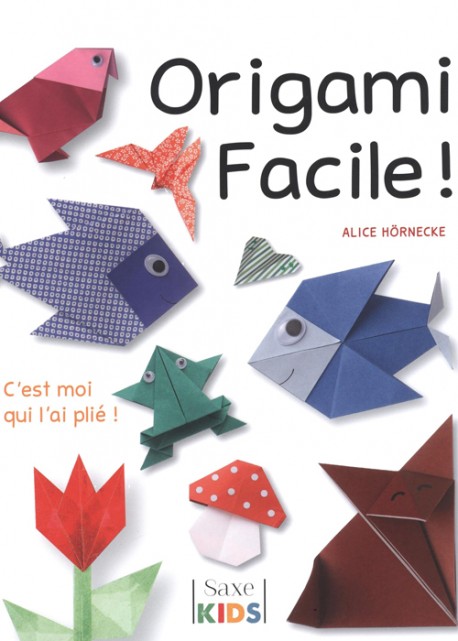 Origami facile : C'est moi qui l'ai plié !
