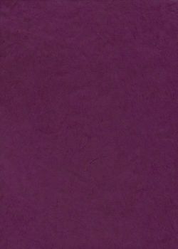 Lokta pourpre (50x75)