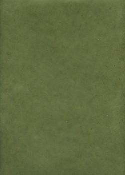 Lokta vert olive (50x75)