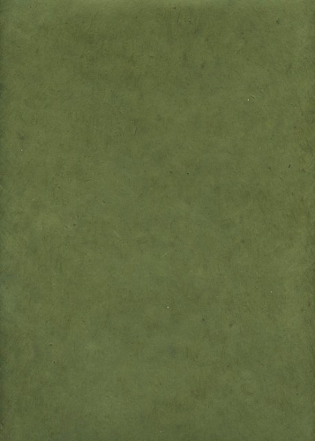 Lokta vert olive (50x75)