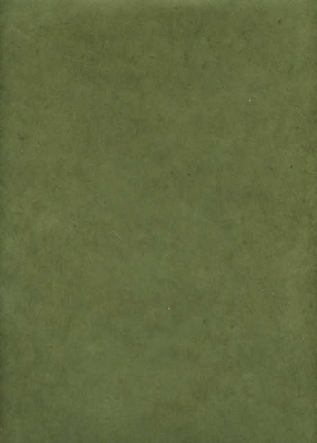 Lokta vert olive (50x75)