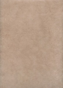 Lokta beige rosé (50x75)