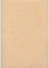 Papier lokta pêche (50x75)