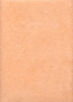Lokta saumon (50x75)