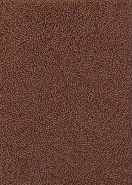 Papier imitation Chevreau marron foncé (70x100)