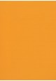Skip grain fin orange (65x100)
