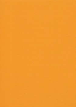 Skip grain fin orange (65x100)