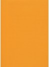Skip grain fin orange (65x100)