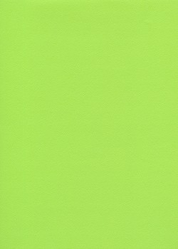 Skip grain fin vert anis (65x100)