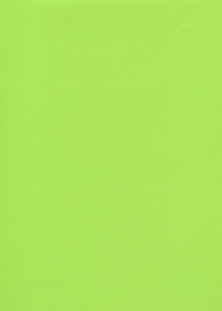 Skip grain fin vert anis (65x100)