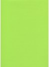 Skip grain fin vert anis (65x100)
