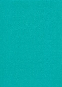 Skip grain fin bleu caraibes (65x100)