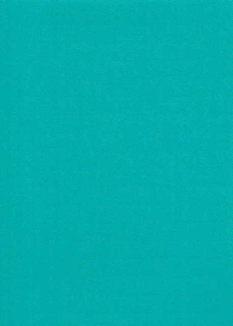 Skip grain fin bleu caraibes (65x100)