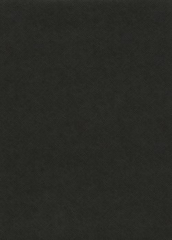 Papier grain toilé noir "Cartier©" (65x100)