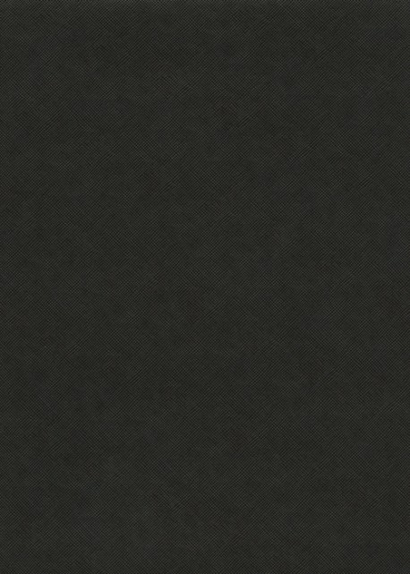 Papier grain toilé noir "Cartier©" (65x100)