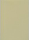 Skip grain fin mastic (65x100)