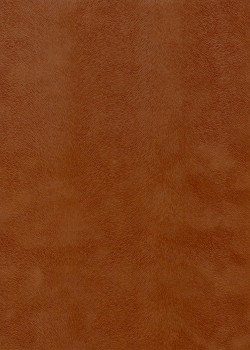 Simili cuir velours Pelage daim (70x100)