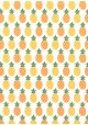 Les ananas orange et jaunes (70x100)